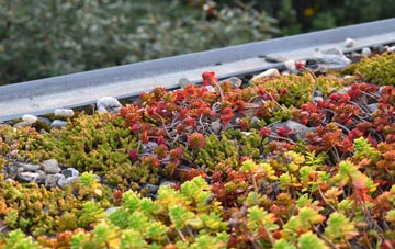 the cost of Newby Cote green roof installation