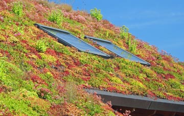 Newby Cote living roof systems