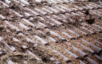 Newby Cote roof cleaning companies