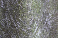 Newby Cote fibreglass roof work